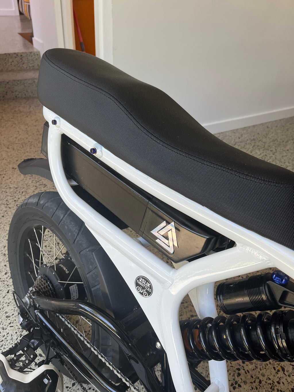 Titanium bolts (frame)