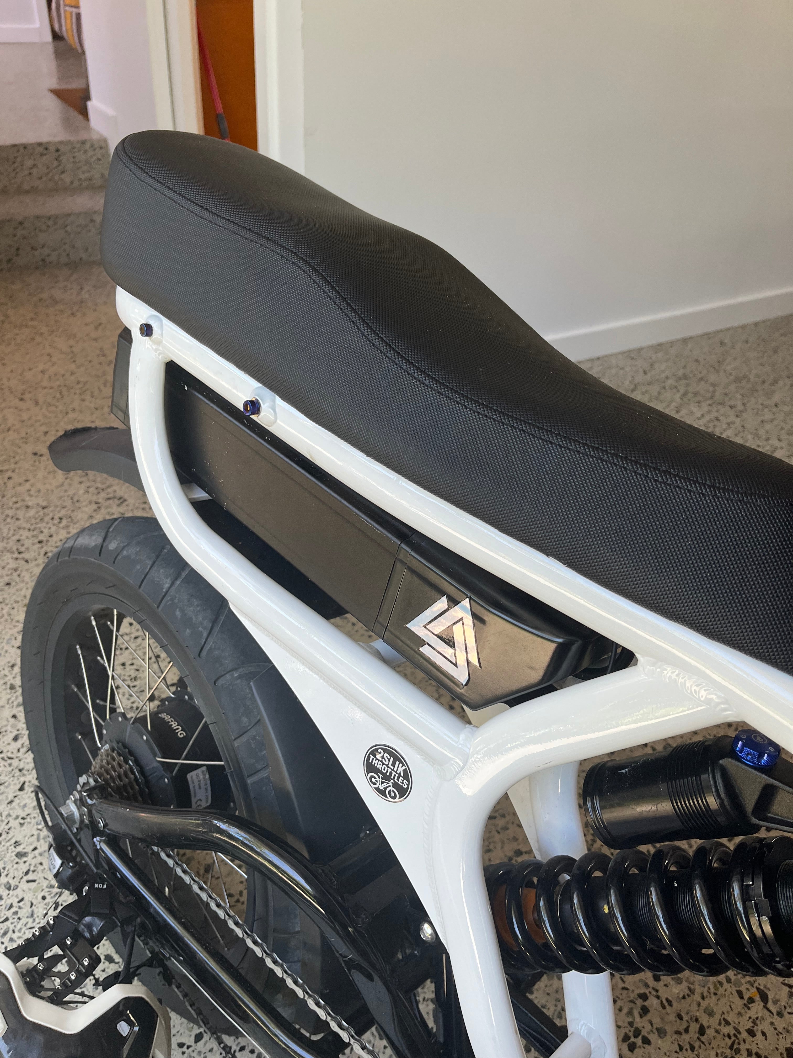 Titanium bolts (frame)